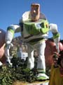 IMG_1739.jpg